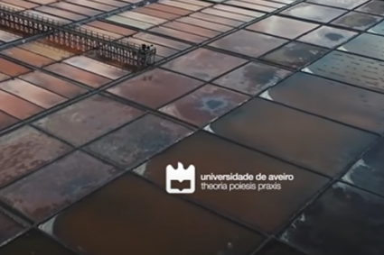Vídeo Institucional Universidade de Aveiro